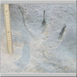 100_8428 (2011-10-03)m.JPG